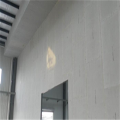 曲麻莱宁波ALC板|EPS加气板隔墙与混凝土整浇联接的实验研讨